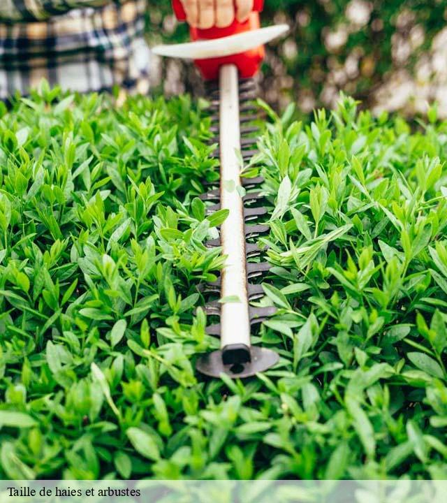 Taille de haies et arbustes  angoville-en-saire-50330 RS Espace vert