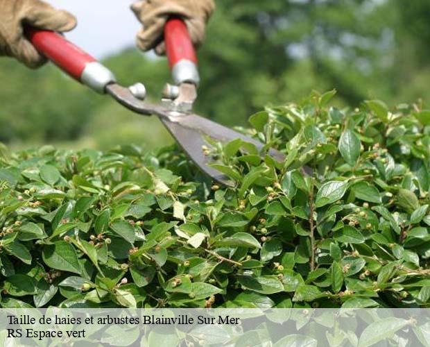 Taille de haies et arbustes blainville-sur-mer-50560 RS Espace vert