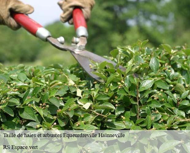 Taille de haies et arbustes equeurdreville-hainneville-50120 RS Espace vert