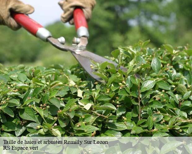 Taille de haies et arbustes remilly-sur-lozon-50570 RS Espace vert