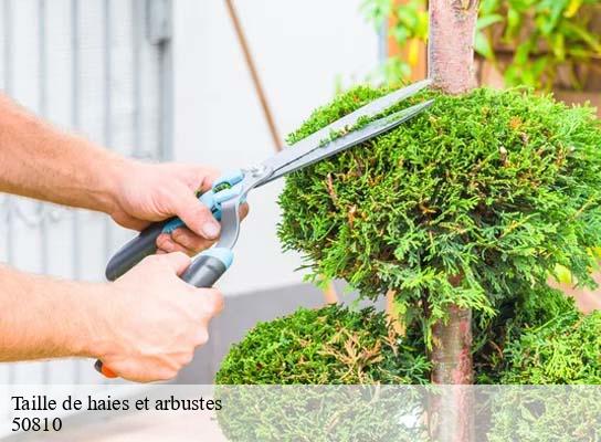 Taille de haies et arbustes rouxeville-50810 RS Espace vert