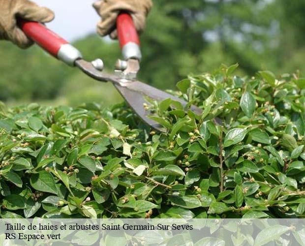 Taille de haies et arbustes saint-germain-sur-seves-50190 RS Espace vert