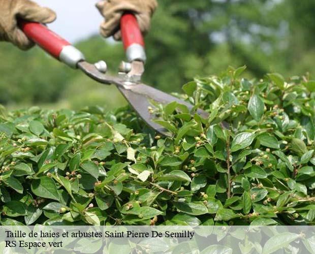 Taille de haies et arbustes saint-pierre-de-semilly-50810 RS Espace vert