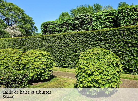 Taille de haies et arbustes  vasteville-50440 MR Reinhart