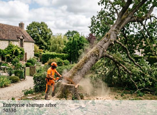 Entreprise abattage arbre  brillevast-50330 MR Reinhart