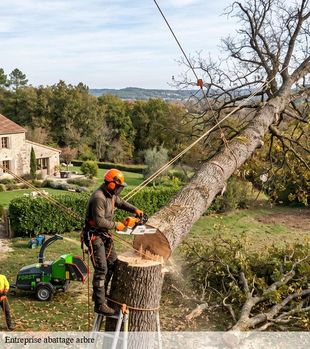 Entreprise abattage arbre  brillevast-50330 MR Reinhart
