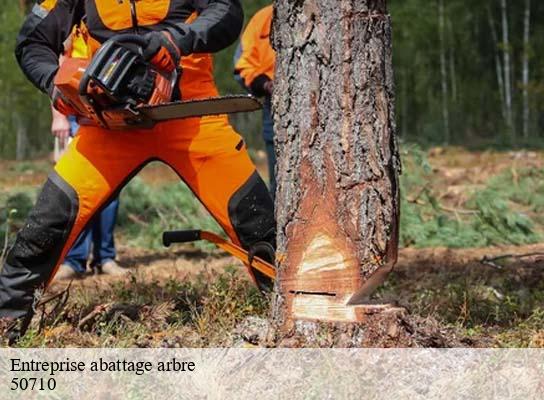 Entreprise abattage arbre creances-50710 RS Espace vert