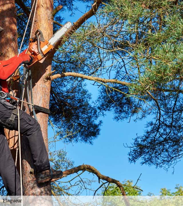 Elagueur les-chambres-50320 RS Espace vert