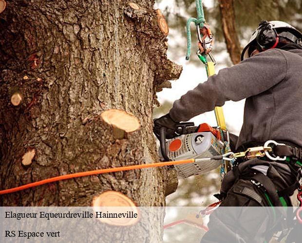 Elagueur equeurdreville-hainneville-50120 RS Espace vert