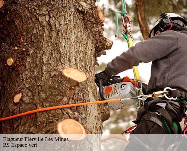 Elagueur fierville-les-mines-50580 RS Espace vert