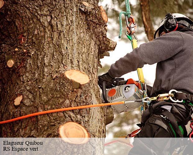 Elagueur quibou-50750 RS Espace vert