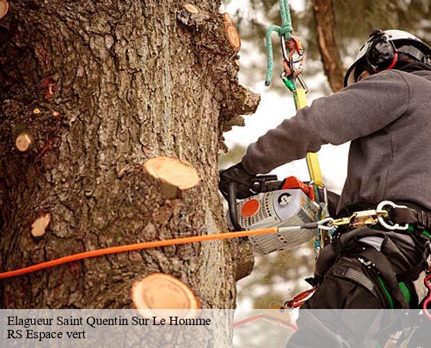 Elagueur saint-quentin-sur-le-homme-50220 RS Espace vert