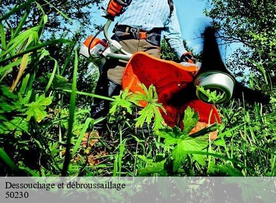 Dessouchage et débroussaillage agon-coutainville-50230 RS Espace vert