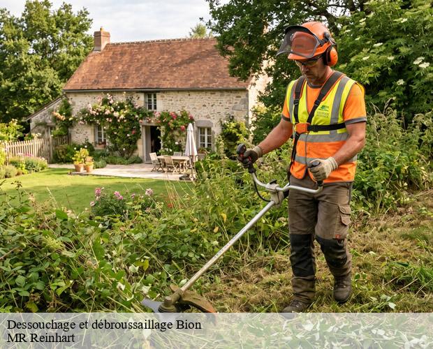 Dessouchage et débroussaillage  bion-50140 MR Reinhart