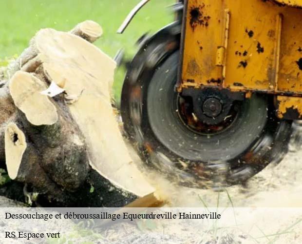 Dessouchage et débroussaillage equeurdreville-hainneville-50120 RS Espace vert