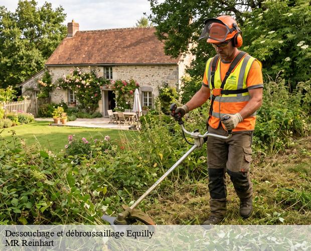 Dessouchage et débroussaillage  equilly-50320 MR Reinhart