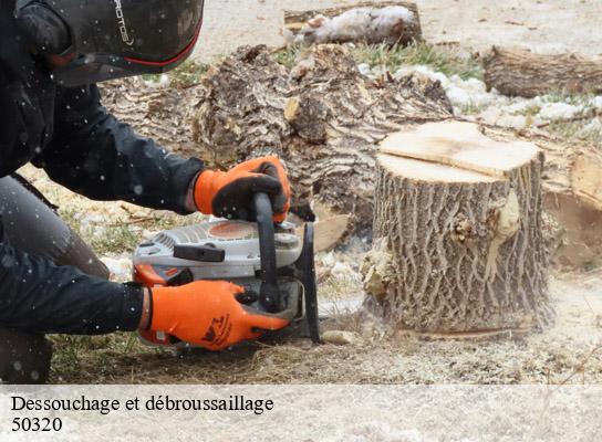 Dessouchage et débroussaillage  equilly-50320 MR Reinhart
