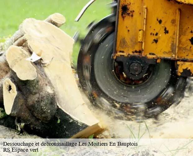 Dessouchage et débroussaillage les-moitiers-en-bauptois-50360 RS Espace vert