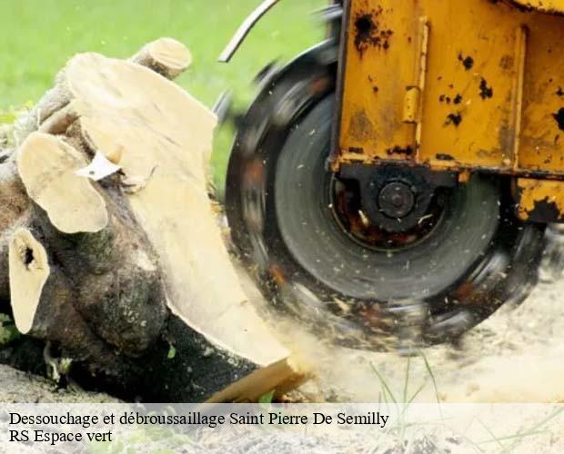 Dessouchage et débroussaillage saint-pierre-de-semilly-50810 RS Espace vert