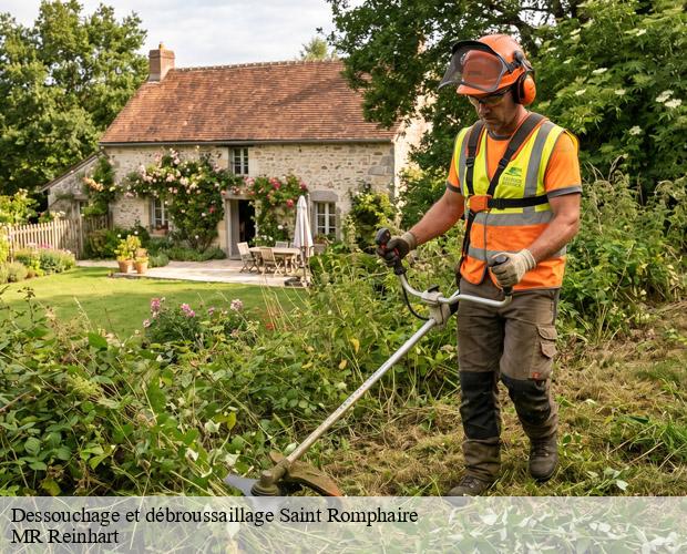 Dessouchage et débroussaillage  saint-romphaire-50750 MR Reinhart
