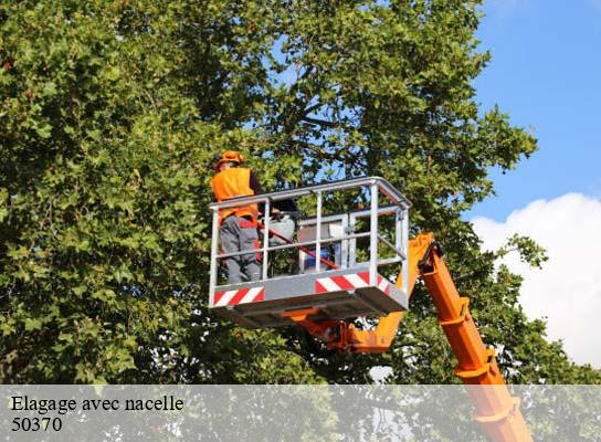 Elagage avec nacelle saint-georges-de-livoye-50370 RS Espace vert